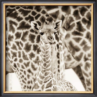 Precious Moments Ii by Susann & Frank Parker Pricing Limited Edition Print image