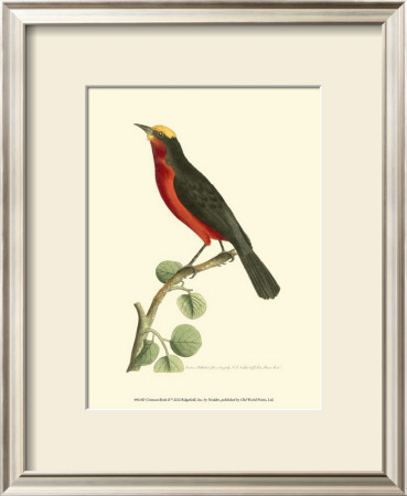 Crimson Birds Ii by Frederick P. Nodder Pricing Limited Edition Print image