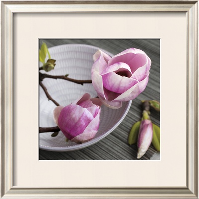 Magnolia On A Bowl by Catherine Beyler Pricing Limited Edition Print image