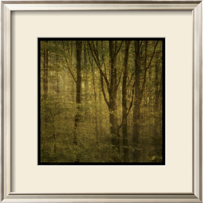 Fog In Mountain Trees No. 2 by John Golden Pricing Limited Edition Print image