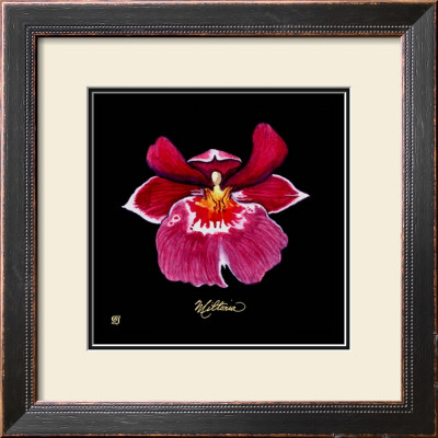 Vivid Orchid Viii by Ginny Joyner Pricing Limited Edition Print image