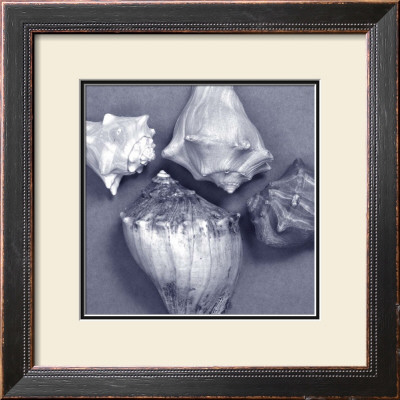 Shell Convergence Vi by Renee Stramel Pricing Limited Edition Print image