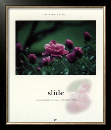Slide by Francis Pelletier Pricing Limited Edition Print image