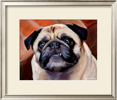 Snaggle Pug by Robert Mcclintock Pricing Limited Edition Print image