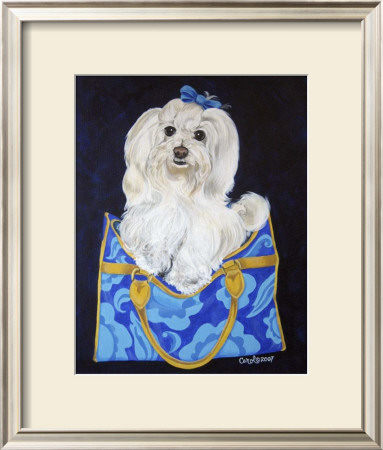 Maltese Clutch by Carol Dillon Pricing Limited Edition Print image