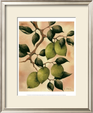 Italian Harvest, Limes by Doris Allison Pricing Limited Edition Print image