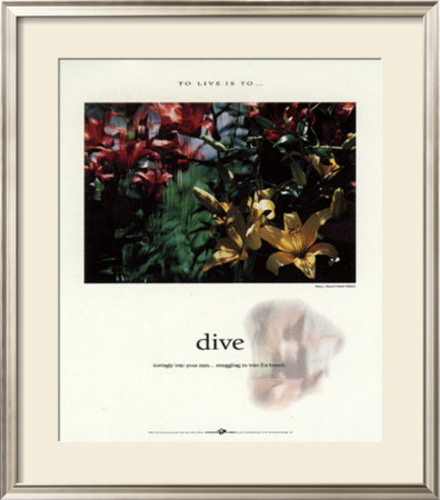 Dive by Francis Pelletier Pricing Limited Edition Print image