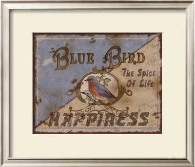 Blue Bird Spices by Denise Dorn Pricing Limited Edition Print image