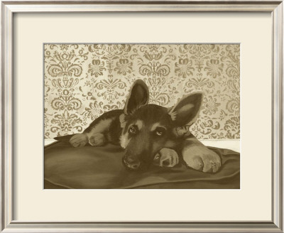Sepia Dog V by Kelly Walker Pricing Limited Edition Print image