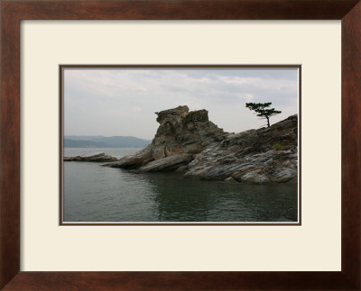 A Pine Tree At Wakaura Port In Japan by Ryuji Adachi Pricing Limited Edition Print image