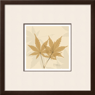 Color Me Maple Natural I by Albert Koetsier Pricing Limited Edition Print image