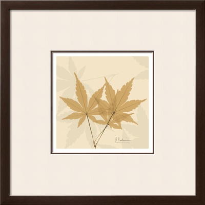 Color Me Maple Natural I by Albert Koetsier Pricing Limited Edition Print image