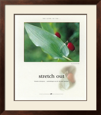Stretch Out by Francis Pelletier Pricing Limited Edition Print image