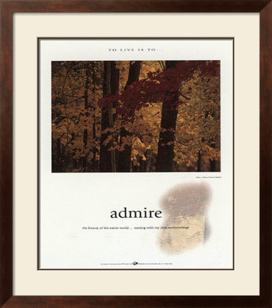 Admire by Francis Pelletier Pricing Limited Edition Print image