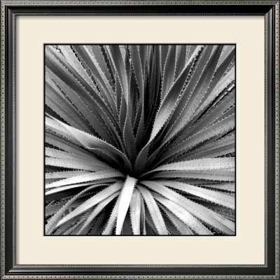Scottsdale Vi by Studio El Collection Pricing Limited Edition Print image