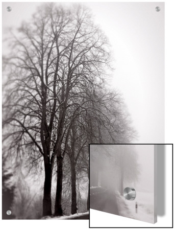 Trees In Foggy Winter Landscape by I.W. Pricing Limited Edition Print image