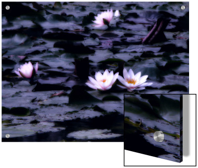 Lily-Pad Pond, Flower by I.W. Pricing Limited Edition Print image