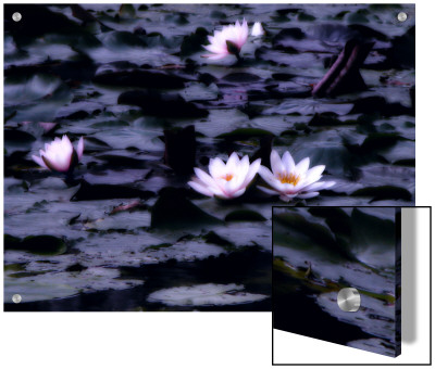 Lily-Pad Pond, Flower by I.W. Pricing Limited Edition Print image