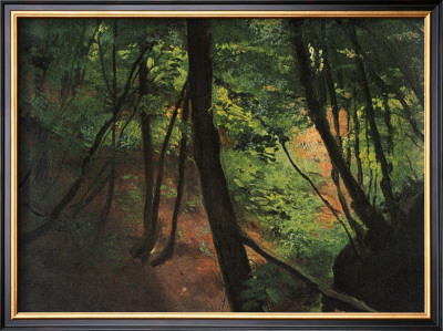 In The Middle Of The Forest by Gustav Klimt Pricing Limited Edition Print image