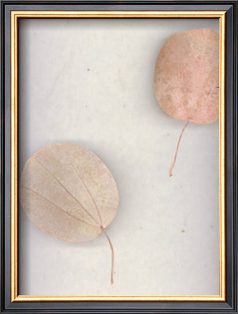 Assemblage No. 17 by John Watson Pricing Limited Edition Print image