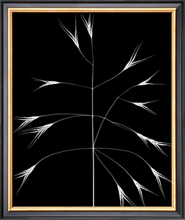 Wild Grasses Iii by K. Kennedy Pricing Limited Edition Print image