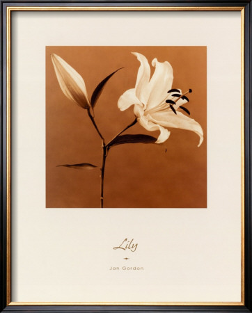Lily by Jan Gordon Pricing Limited Edition Print image