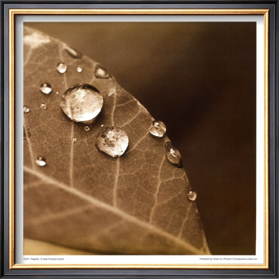 Regard by Jean-Francois Dupuis Pricing Limited Edition Print image