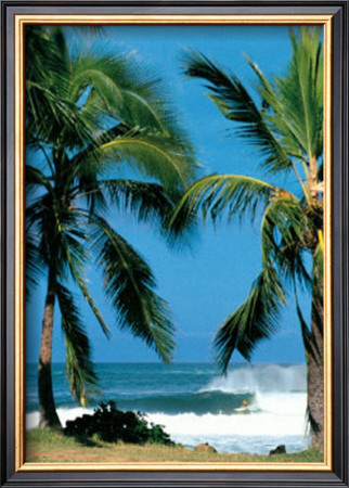 Spot D'haleiwa by Sylvain Cazenave Pricing Limited Edition Print image