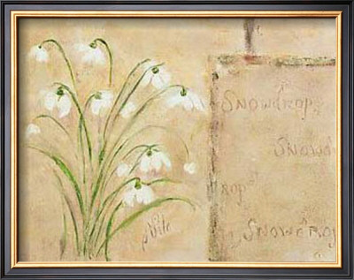 Snowdrop by Anita Reed-Davis Pricing Limited Edition Print image