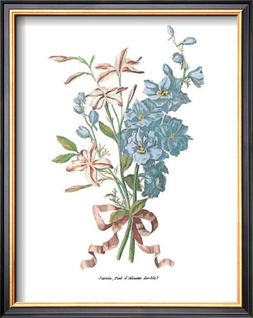 Jasmin by Jean Louis Prevost Pricing Limited Edition Print image