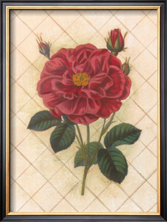 Trellis Rose Iv by Susan Davies Pricing Limited Edition Print image