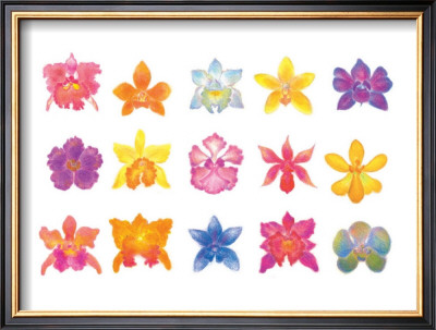 Flower Blossom With Smile by Miyuki Hasekura Pricing Limited Edition Print image