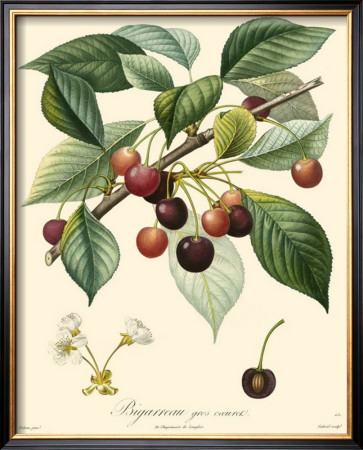 Cherries by Bessa Pricing Limited Edition Print image