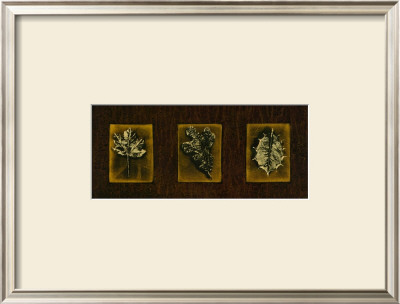 Block Leaf Panel Ii by Nancy Stocum Pricing Limited Edition Print image