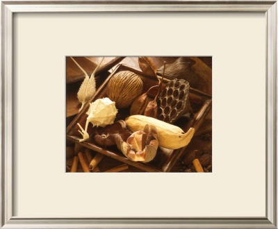 Dried Flower by Jean-Michel Labat Pricing Limited Edition Print image