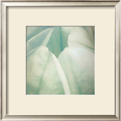 Tulip Trio Ii by Gabriel Scott Pricing Limited Edition Print image