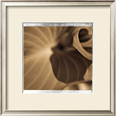 Spiralis Ii by Jean-François Dupuis Pricing Limited Edition Print image