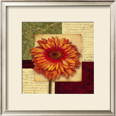 Bella Donna Iii by Pamela Gladding Pricing Limited Edition Print image