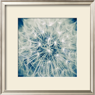 Anephos by Jean-Francois Dupuis Pricing Limited Edition Print image