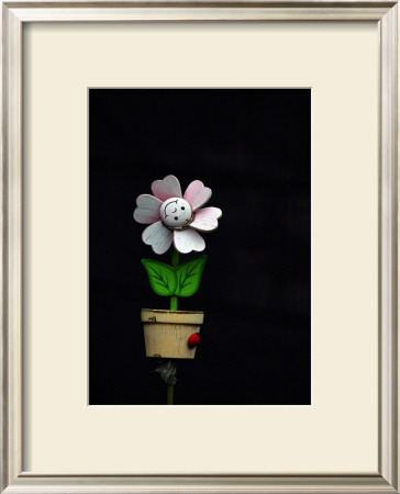 Daisy Flower Pot by Stephen Lebovits Pricing Limited Edition Print image