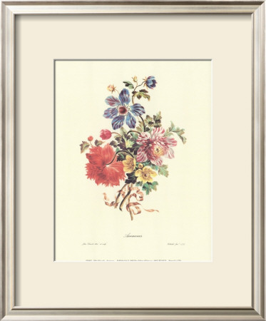 Anemones by John Edwards Pricing Limited Edition Print image