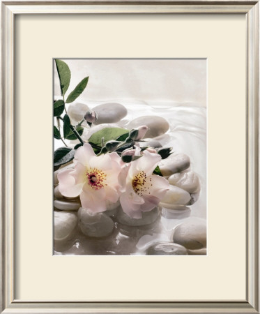 Spring Retreat Iii by Christine Elizabeth Pricing Limited Edition Print image