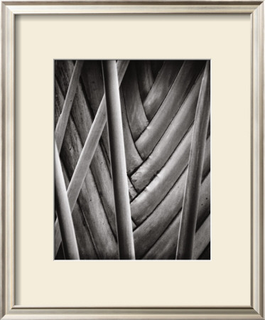 Palm Pattern by Jeff Zaruba Pricing Limited Edition Print image