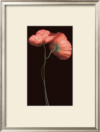 Poppy Duet by S. G. Rose Pricing Limited Edition Print image