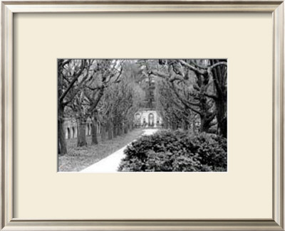 Garden Walk by Laura Denardo Pricing Limited Edition Print image