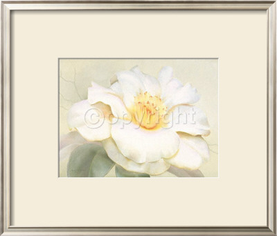 Camellia Elegance by Annemarie Peter-Jaumann Pricing Limited Edition Print image