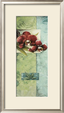 Full Orchid Duo Ii by Lisa Audit Pricing Limited Edition Print image