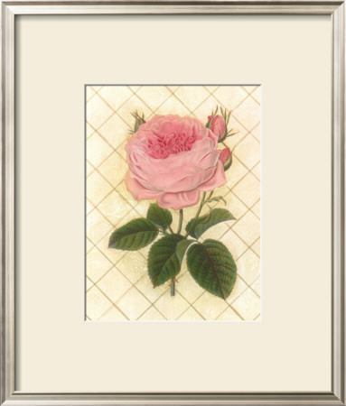 Trellis Rose Iii by Susan Davies Pricing Limited Edition Print image