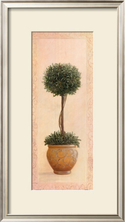 Topiary Ball I by Welby Pricing Limited Edition Print image