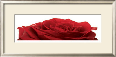 Rose Rouge by Guillaume Plisson Pricing Limited Edition Print image